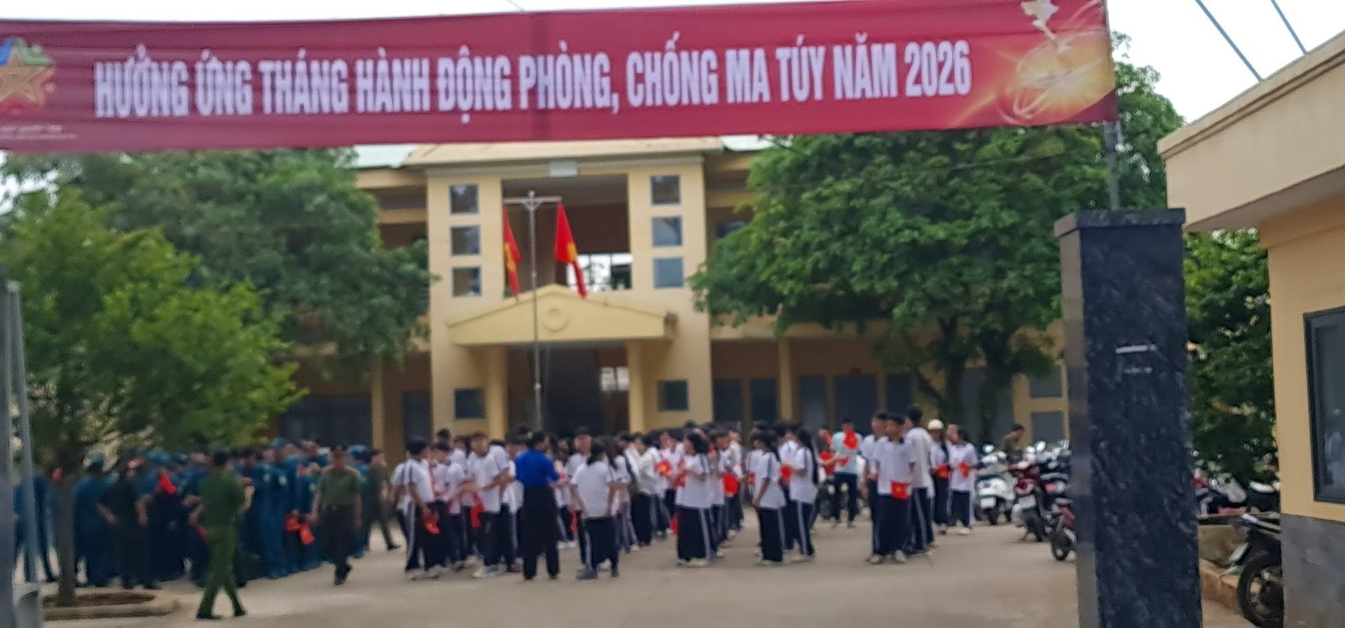 Ảnh 10